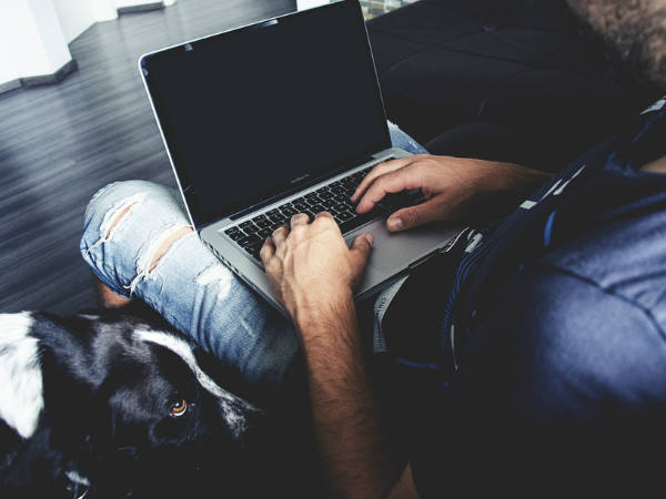 എസ്‌കോര്‍ട്ട് സേവനങ്ങള്‍