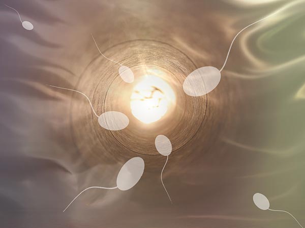 എന്താണ് കാര്യം