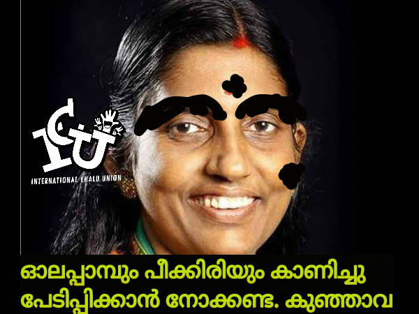 ഓലപ്പാമ്പ്