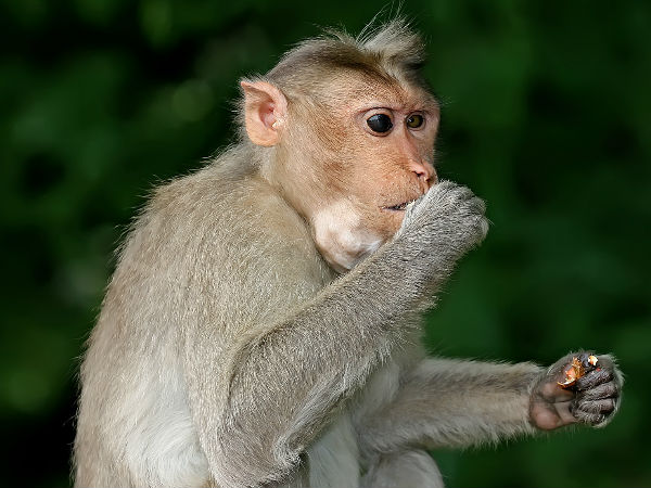 സമരരംഗത്ത്