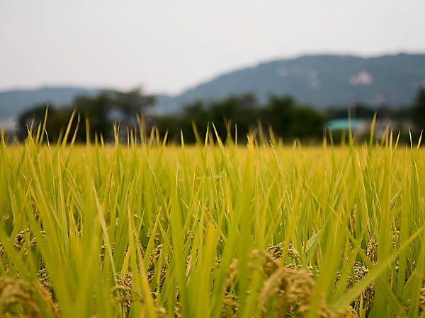 യന്ത്രങ്ങള്‍ക്ക് അനുമതിയില്ലാത്തത്