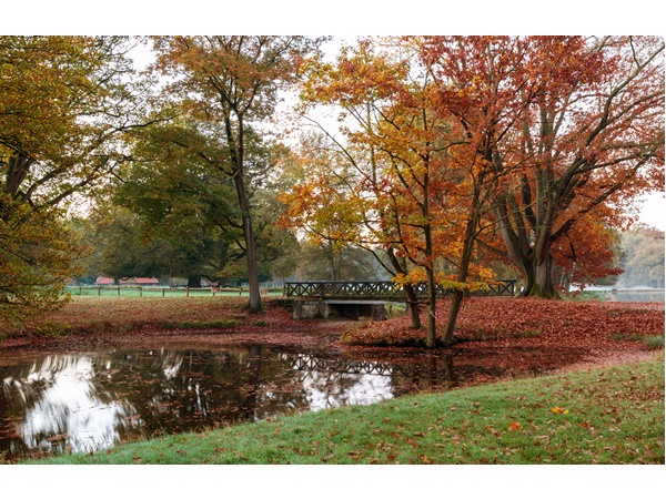 ശരത്കാലം