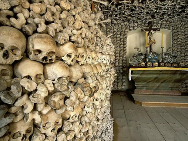 കൂടുതലും അലങ്കരിച്ചത്