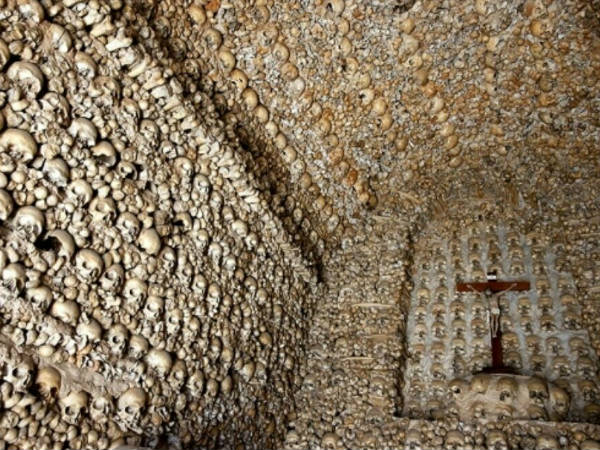  യുദ്ധത്തില്‍ മരിച്ചവര്‍