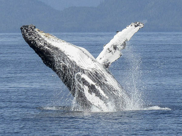  അനുഭവജ്ഞാനം