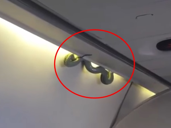 യാത്രക്കാര്‍