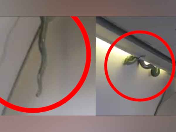 എഴുന്നേറ്റില്ല