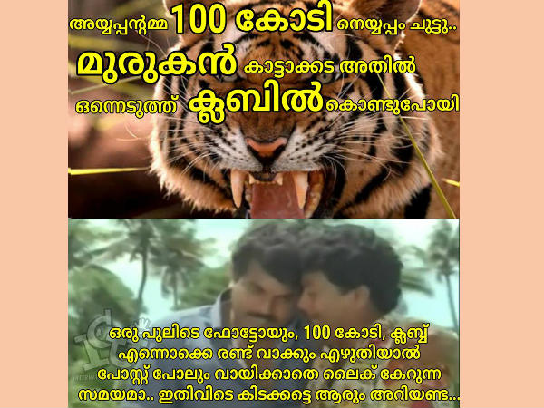  തള്ളാണോ