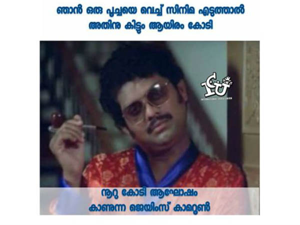  പൂച്ചയെ വച്ച്