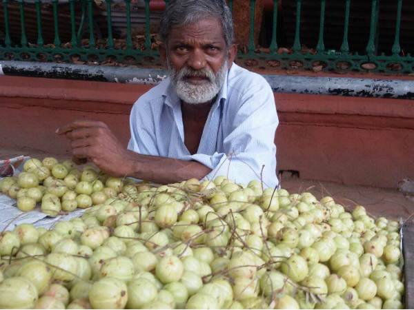  ഈ നെല്ലിക്കകൾ