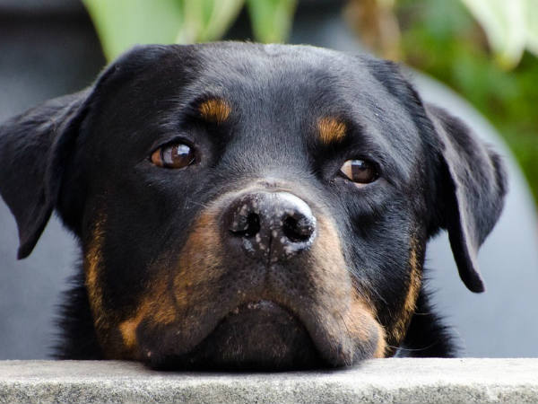 ഒരാള്‍ക്കെതിരെ