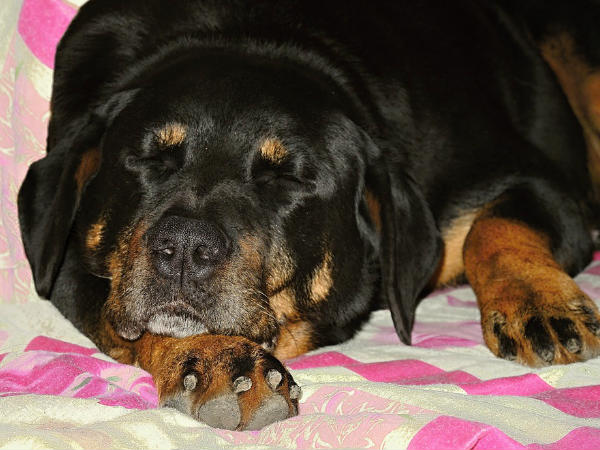 രണ്ട് പേര്‍