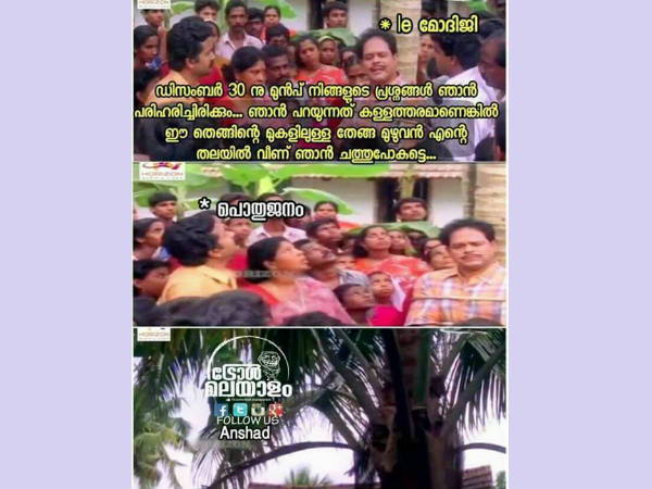 മണ്ടയില്ലാത്ത തെങ്ങ്