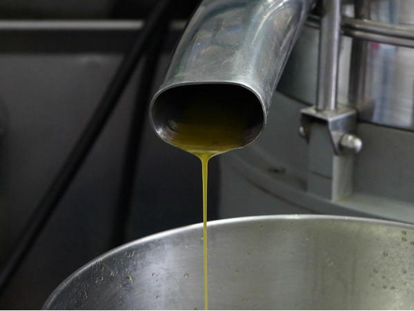 മെല്ലെ ഉയരുന്നു