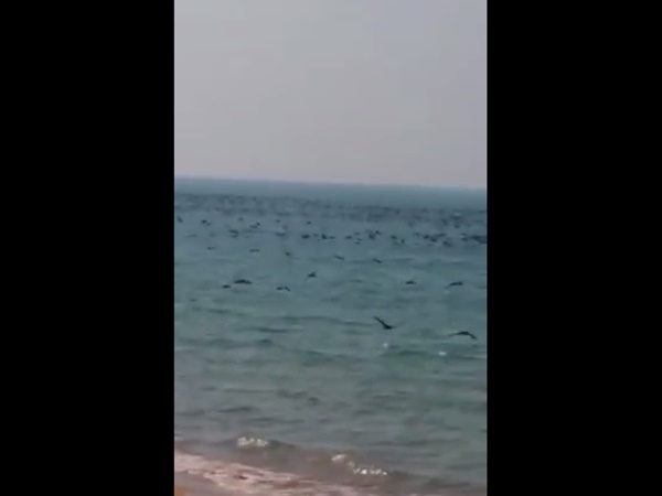 എന്താണ് കാരണം എന്താണ് കാരണം