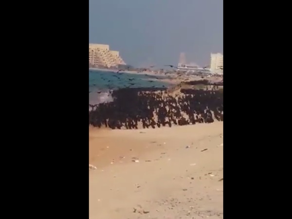 എന്തിന്റെ സൂചന എന്തിന്റെ സൂചന