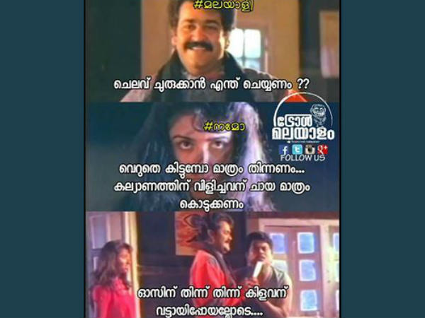 ഓസിന് തിന്ന്
