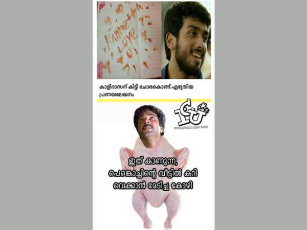 കോഴിച്ചോര