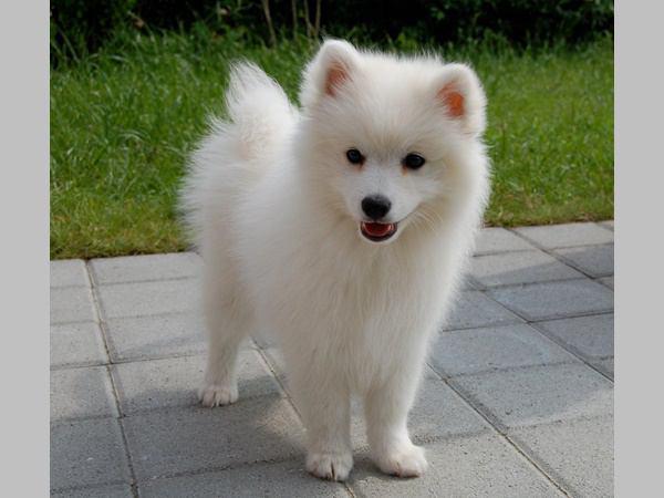 എപ്പോഴും കൂടെ