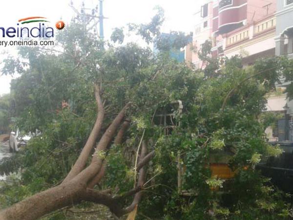  മാറ്റിപ്പാര്‍പ്പിച്ചു