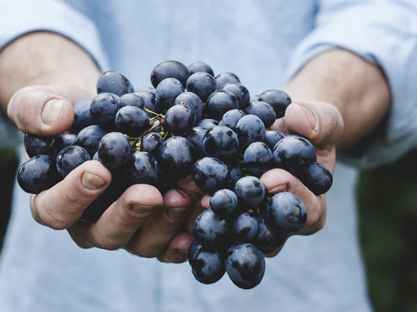 പാതിരാത്രിയിലെ 12 മുന്തിരികള്‍