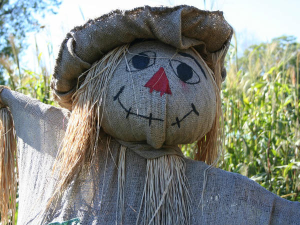 ഇക്വഡോറും കൊച്ചിയും ഒരുപോലെ