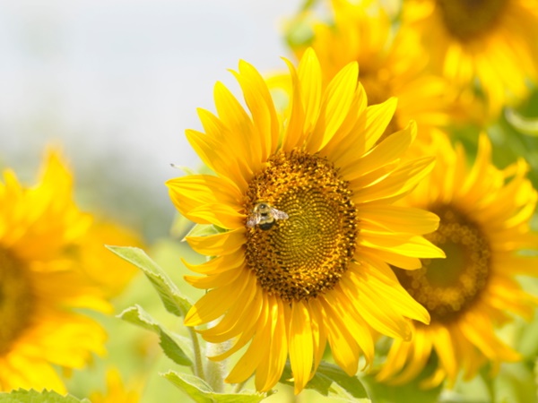 ആര്‍ക്കൊക്കെ... എന്തിന്?