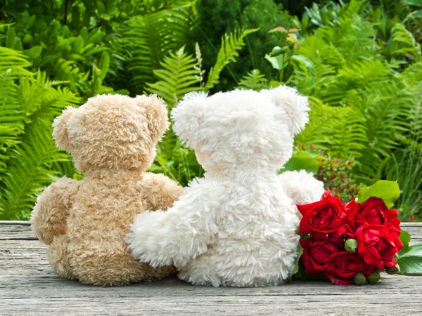 വജൈനോപ്ലാസ്റ്റിയും ലാബിനോപ്ലാസ്റ്റിയും