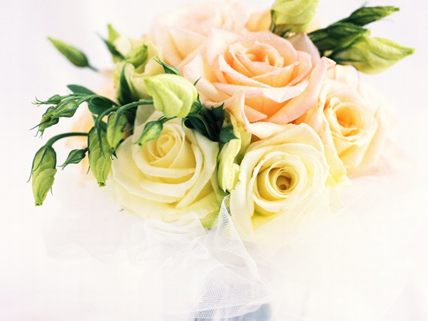 ഇന്ത്യയില്‍ ഡിമാന്റ് കൂടുന്നു