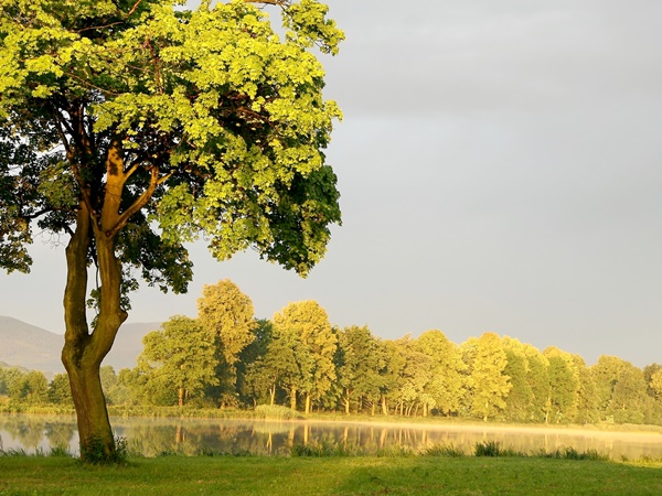 സംഗതി നിയമവിരുദ്ധമാണോ?