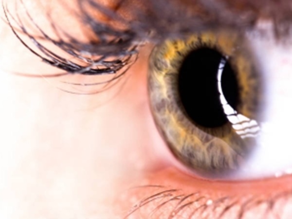 അന്ധത എന്നാല്‍ 100 ശതമാനം