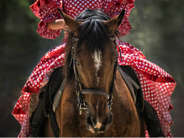 കുതിരപ്പുറത്ത് നഗ്നയായി ഇരിക്കുന്ന ഫോട്ടോ