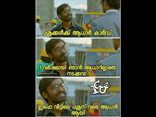 പശുക്കള്‍ക്ക് ആധാര്‍ കാര്‍ഡ്