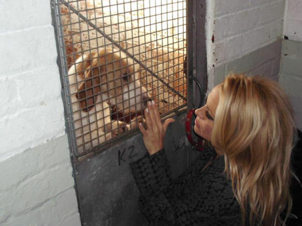  ഈ കാലത്തിനാവശ്യം