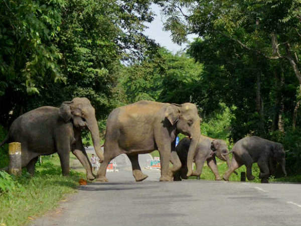 രക്ഷപ്പെടാനുള്ള ശ്രമത്തില്‍ വെടിയേറ്റു