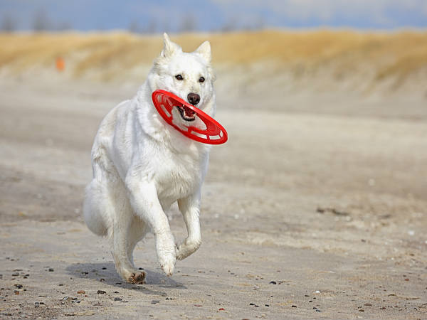  വില്‍പ്പന