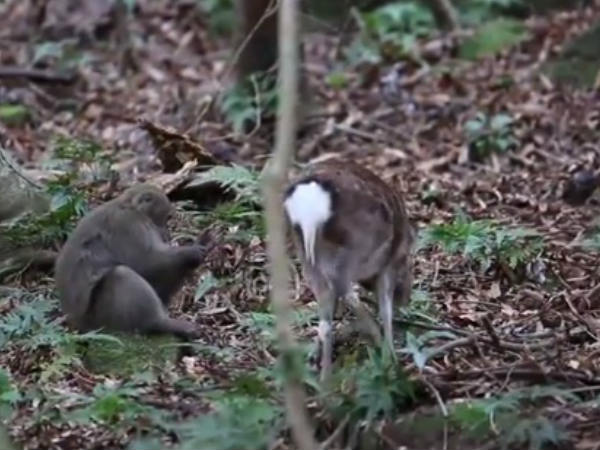 മനുഷ്യരെ പറഞ്ഞിട്ടെന്ത് കാര്യം