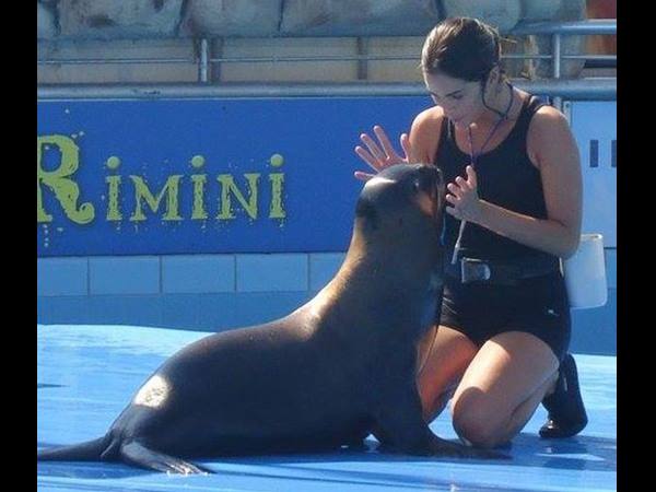 സിസിടിവി ദൃശ്യങ്ങള്‍