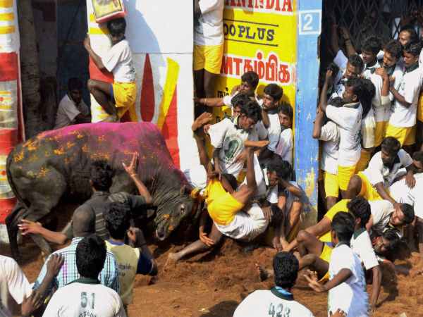 പെറ്റയ്ക്ക് വിലക്ക് 