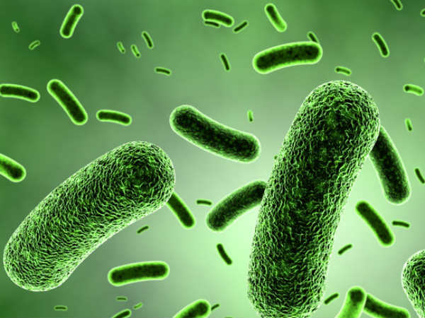 നിര്‍ണായകമാണ്.... ലോകരക്ഷയ്ക്ക്