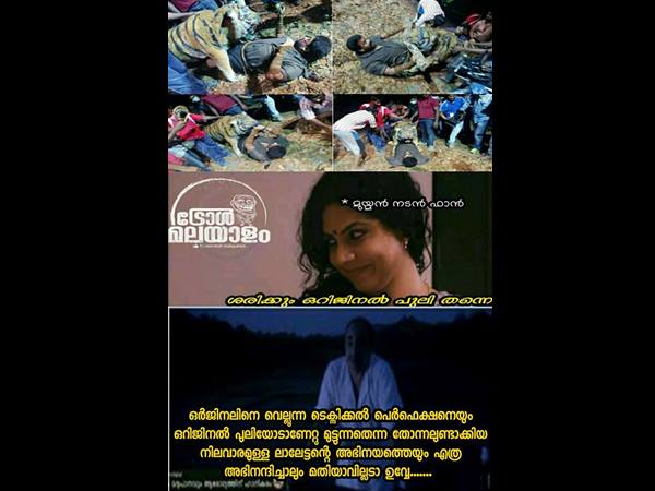 ഒറിജിനല്‍ പുലി തന്നെ