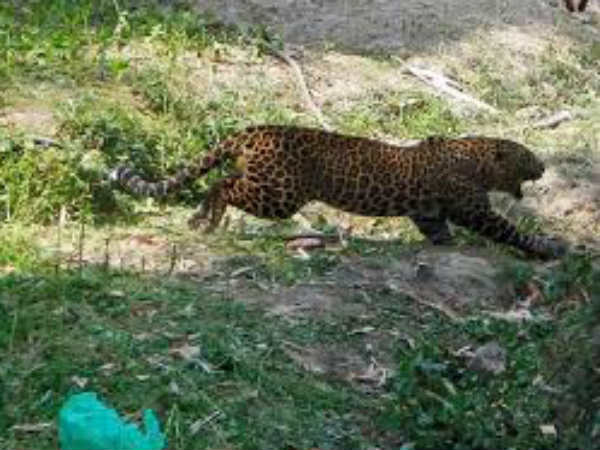 2000ത്തോളം പേര്‍ താമസിക്കുന്നു