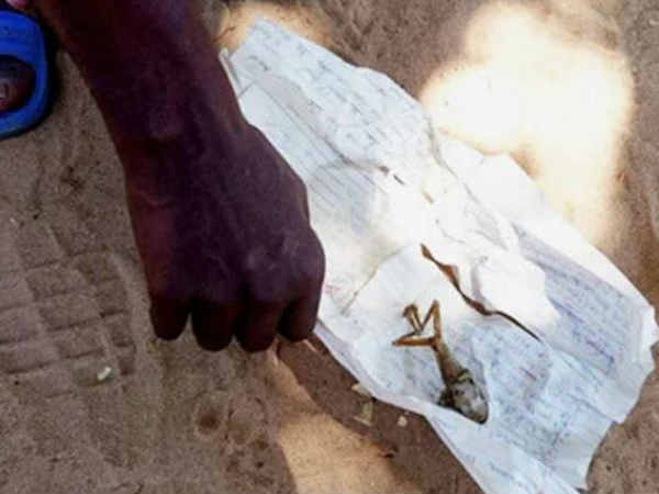 പ്രസവിച്ച ഉടനെ മരണം