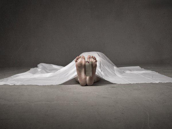 കോശങ്ങളാണ് താരം