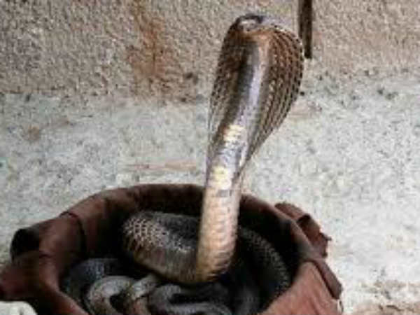 നടനും അറസ്റ്റില്‍