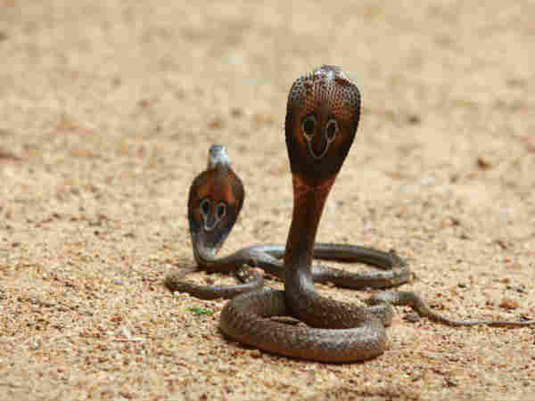 നിര്‍മാതാക്കളെ ചോദ്യം ചെയ്തു