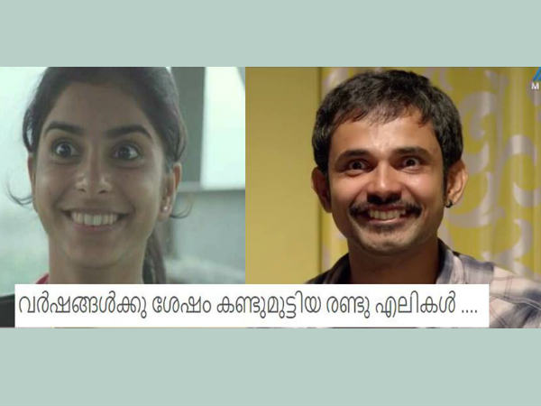 രണ്ട് എലികള്‍