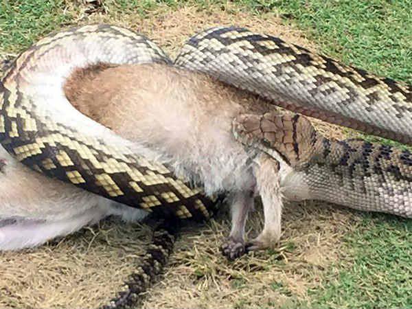 ഡോക്ടറുടെ അടുത്ത് ഡോക്ടറുടെ അടുത്ത്