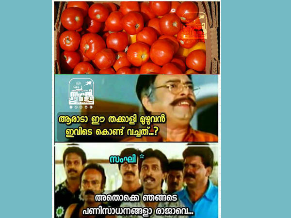 ആരാടാ തക്കാളി കൊണ്ടുവച്ചത്