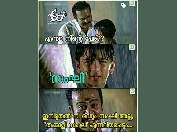 തക്കാളി സംഘി